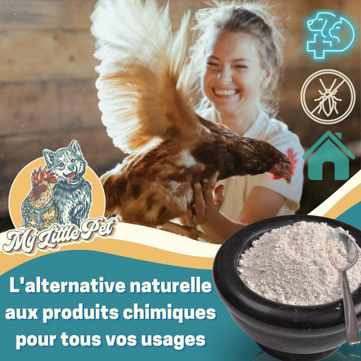 [Seau + Souffleuse] 1.5Kg 100% Terre de Diatomée Alimentaire Blanche | Terre de Diatomée Punaise de Lit | Poudre de Diatomée