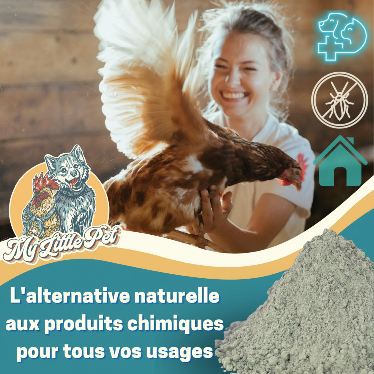 100% Terre de Diatomée Alimentaire Blanche | Terre de Diatomée Punaise de Lit | Poudre de Diatomée Cafard | Terre de Diatomée