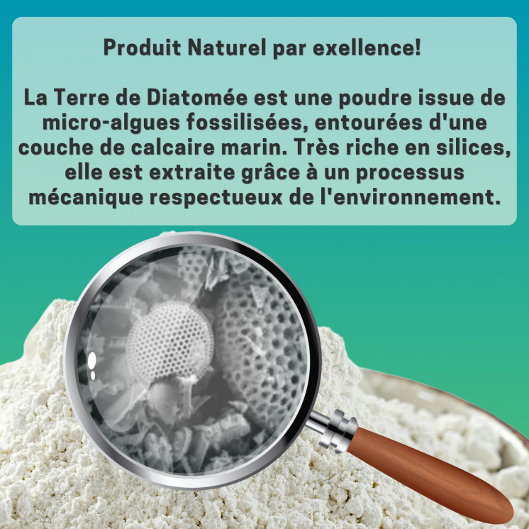 100% Terre de Diatomée Alimentaire Blanche | Terre de Diatomée Punaise de Lit | Poudre de Diatomée Cafard | Terre de Diatomée
